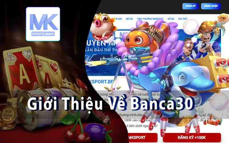 Giới Thiệu Về Banca30