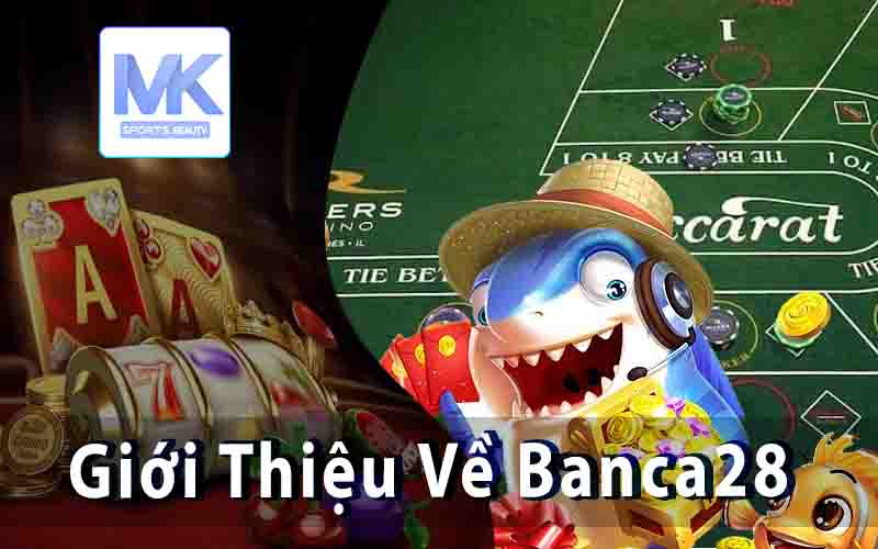 Giới Thiệu Về Banca28